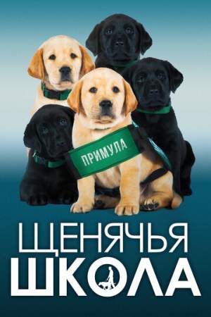 Щенячья школа онлайн